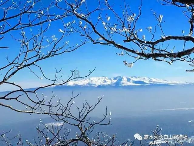 你愿意和一个不坦诚的男人交往吗？
